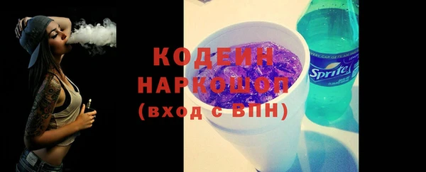 apvp Вяземский
